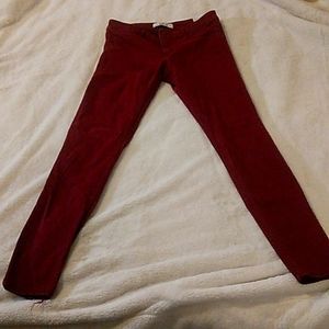 Hollister maroon jeans